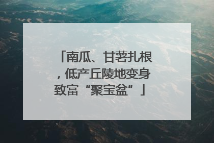 南瓜、甘薯扎根，低产丘陵地变身致富“聚宝盆”