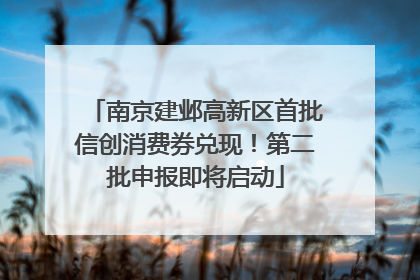 南京建邺高新区首批信创消费券兑现！第二批申报即将启动