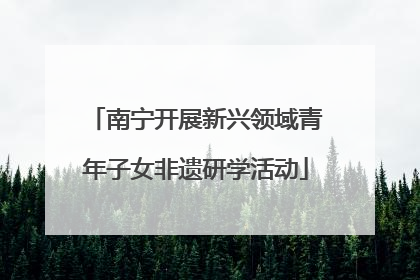 南宁开展新兴领域青年子女非遗研学活动