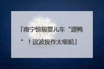 南宁惊现婴儿车“遛鸭”！这波操作太吸睛