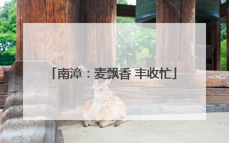 南漳：麦飘香 丰收忙