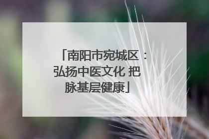 南阳市宛城区：弘扬中医文化 把脉基层健康