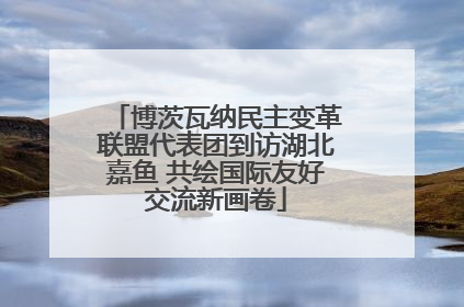 博茨瓦纳民主变革联盟代表团到访湖北嘉鱼 共绘国际友好交流新画卷