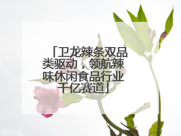 卫龙辣条双品类驱动，领航辣味休闲食品行业千亿赛道