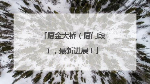 厦金大桥（厦门段），最新进展！