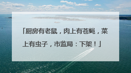 厨房有老鼠，肉上有苍蝇，菜上有虫子，市监局：下架！