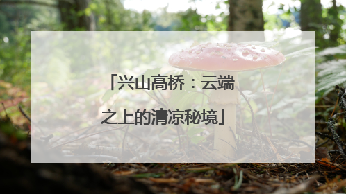 兴山高桥：云端之上的清凉秘境