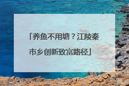 养鱼不用塘？江陵秦市乡创新致富路径
