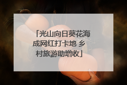 光山向日葵花海成网红打卡地 乡村旅游助增收