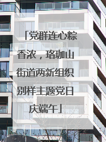 党群连心粽香浓，珞珈山街道两新组织别样主题党日庆端午