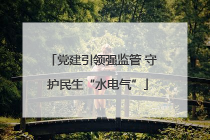 党建引领强监管 守护民生“水电气”