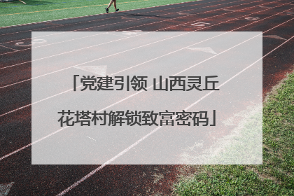 党建引领 山西灵丘花塔村解锁致富密码