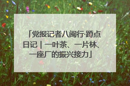 党报记者八闽行·蹲点日记｜一叶茶、一片林、一座厂的振兴接力