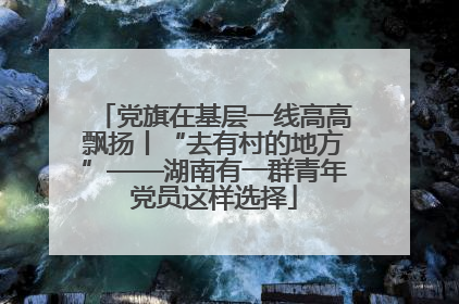 党旗在基层一线高高飘扬丨“去有村的地方”——湖南有一群青年党员这样选择