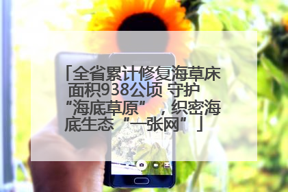 全省累计修复海草床面积938公顷 守护“海底草原”，织密海底生态“一张网”