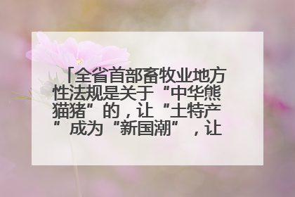 全省首部畜牧业地方性法规是关于“中华熊猫猪”的，让“土特产”成为“新国潮”，让“农产品”升格为“城市IP”