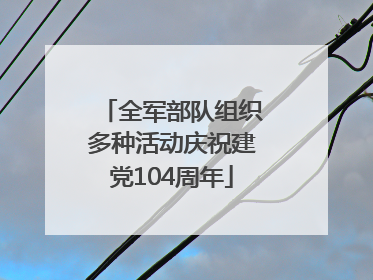 全军部队组织多种活动庆祝建党104周年