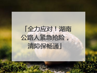 全力应对！湖南公路人紧急抢险，清障保畅通