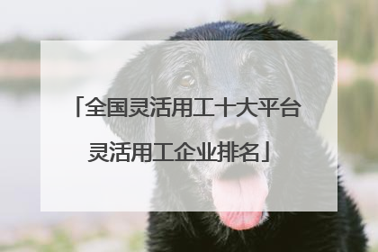 全国灵活用工十大平台 灵活用工企业排名
