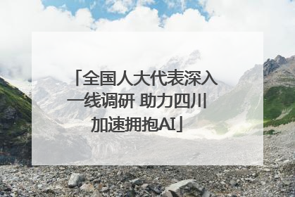 全国人大代表深入一线调研 助力四川加速拥抱AI