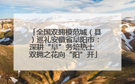 全国双拥模范城（县）巡礼安徽省阜阳市：深耕“阜”务培热土 双拥之花向“阳”开