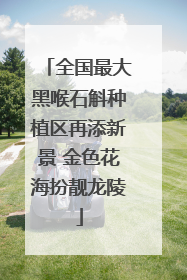 全国最大黑喉石斛种植区再添新景 金色花海扮靓龙陵