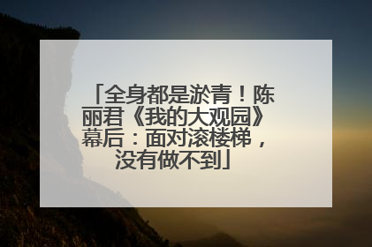 全身都是淤青！陈丽君《我的大观园》幕后：面对滚楼梯，没有做不到