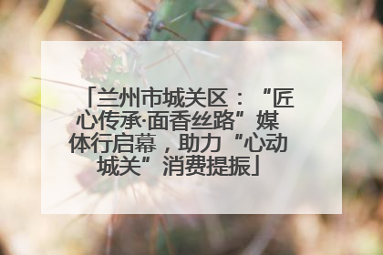兰州市城关区：“匠心传承·面香丝路”媒体行启幕，助力“心动城关”消费提振