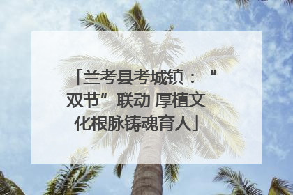 兰考县考城镇：“双节”联动 厚植文化根脉铸魂育人