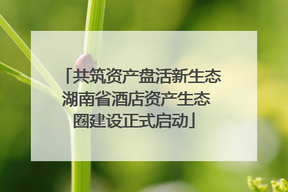 共筑资产盘活新生态 湖南省酒店资产生态圈建设正式启动