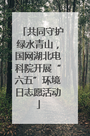 共同守护绿水青山，国网湖北电科院开展“六五”环境日志愿活动