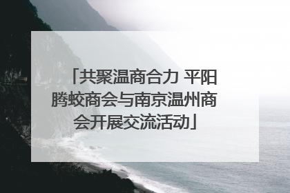 共聚温商合力 平阳腾蛟商会与南京温州商会开展交流活动