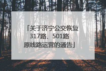 关于济宁公交恢复317路、501路原线路运营的通告