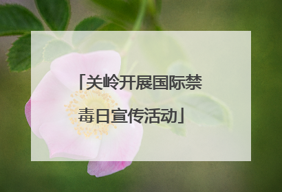 关岭开展国际禁毒日宣传活动