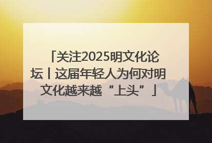 关注2025明文化论坛丨这届年轻人为何对明文化越来越“上头”