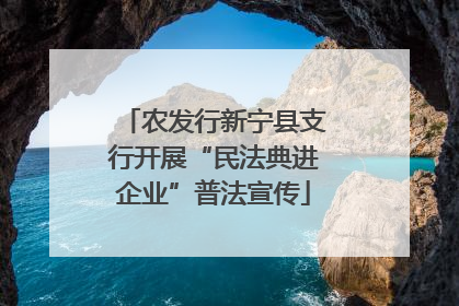 农发行新宁县支行开展“民法典进企业”普法宣传