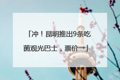 冲！昆明推出9条吃菌观光巴士，票价→