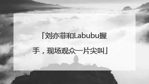 刘亦菲和Labubu握手，现场观众一片尖叫