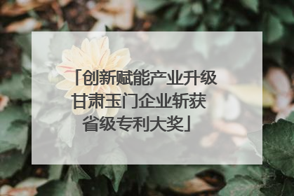 创新赋能产业升级 甘肃玉门企业斩获省级专利大奖