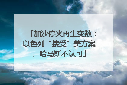 加沙停火再生变数：以色列“接受”美方案、哈马斯不认可