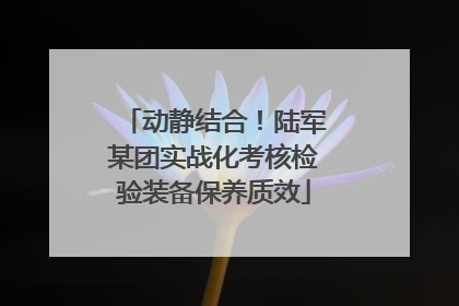 动静结合！陆军某团实战化考核检验装备保养质效