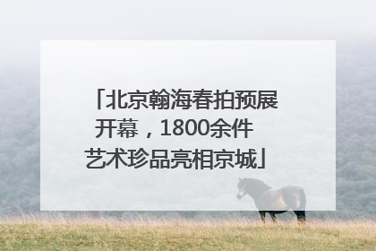 北京翰海春拍预展开幕，1800余件艺术珍品亮相京城