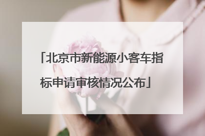 北京市新能源小客车指标申请审核情况公布