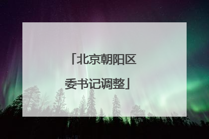 北京朝阳区委书记调整