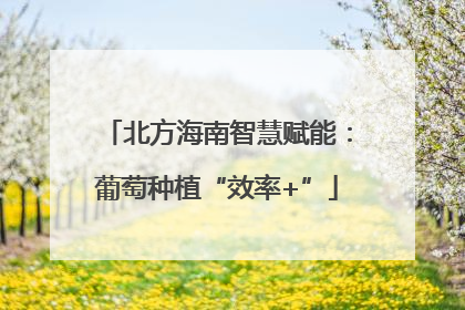 北方海南智慧赋能：葡萄种植“效率+”