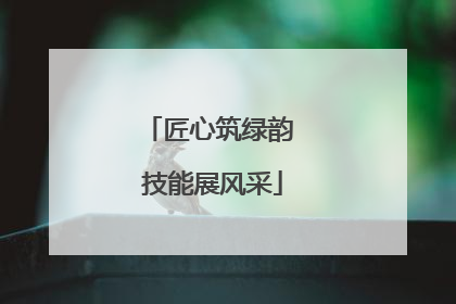 匠心筑绿韵 技能展风采