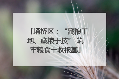 埇桥区：“藏粮于地、藏粮于技” 筑牢粮食丰收根基