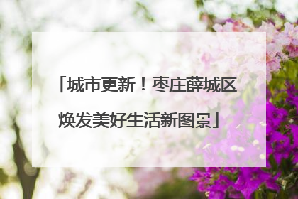城市更新！枣庄薛城区焕发美好生活新图景
