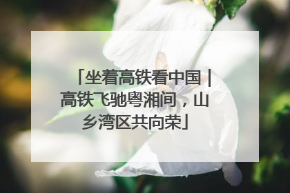 坐着高铁看中国｜高铁飞驰粤湘间，山乡湾区共向荣