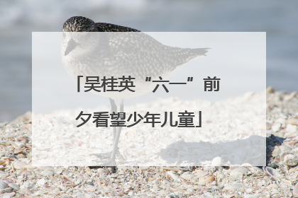 吴桂英“六一”前夕看望少年儿童